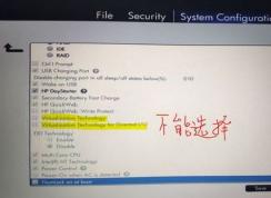HPʼǱBIOS޷Virtualization Technologyѽ
