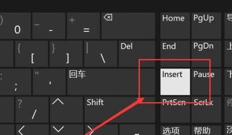 打字后面的字会被删掉怎么办?word插入文字后面的文字被清除的解决方法