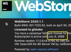 Webstormü|Webstorm(2089)+2020.11