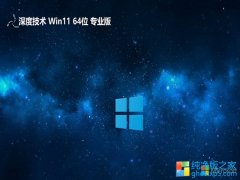 ϵͳ64λwin11Сؿv2025.06
