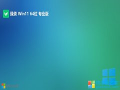 <font color='#339900'>̲ϵͳ64λwin11װͨv2025.06</font>